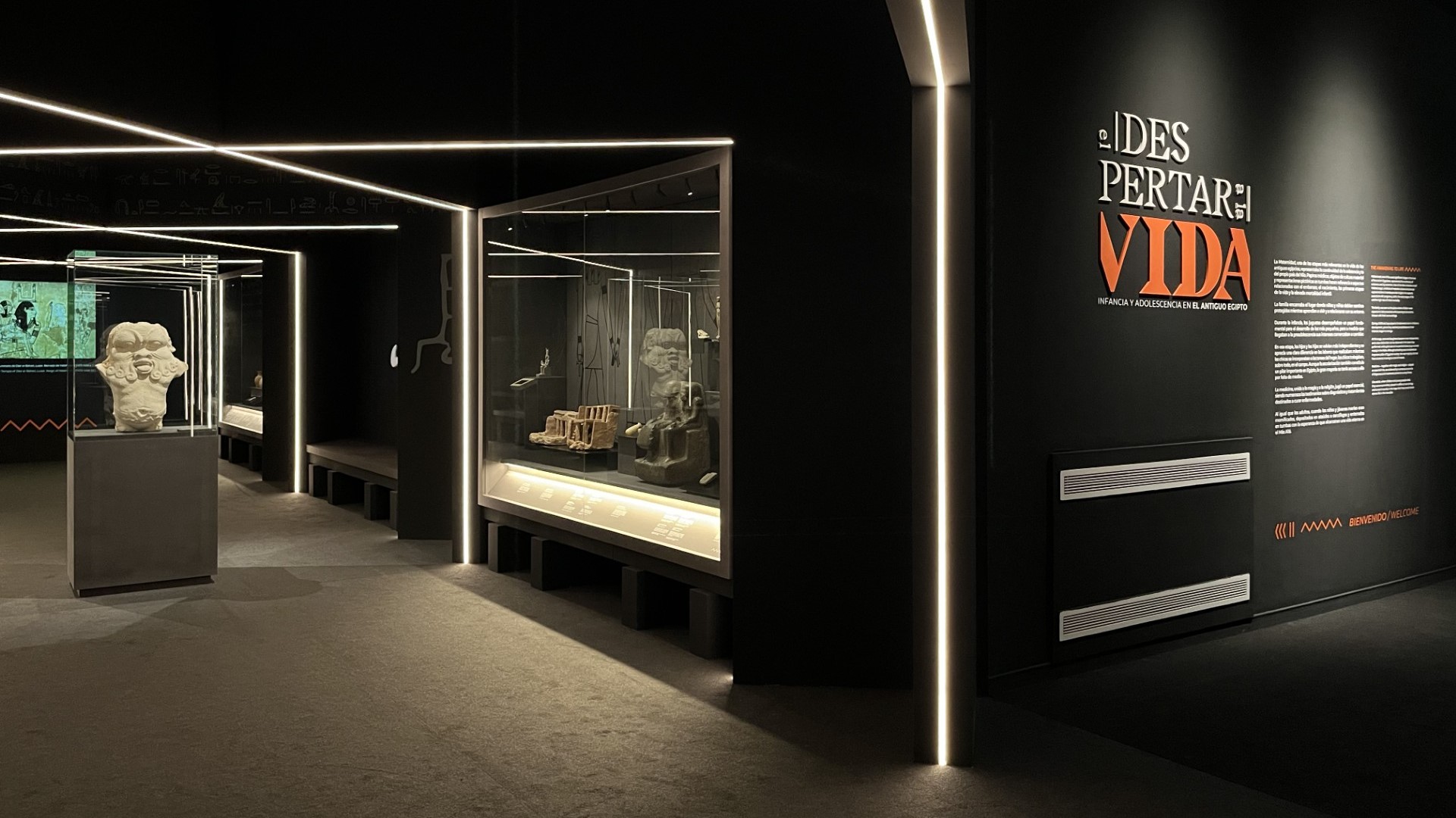 La exposición El despertar a la vida recibe 37.128 visitas en su primer mes de apertura