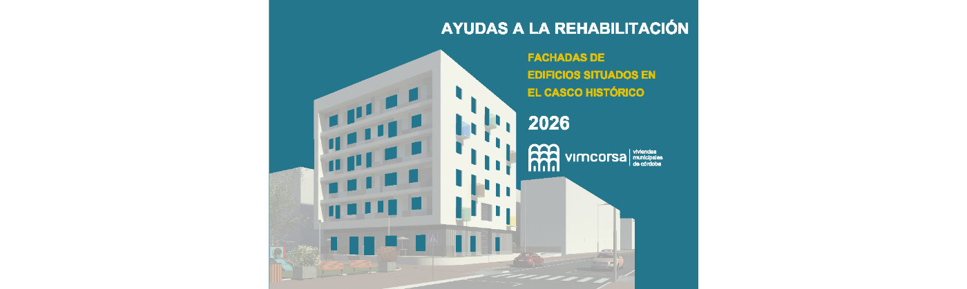 A.2.  Resumen de la convocatoria de ayudas
